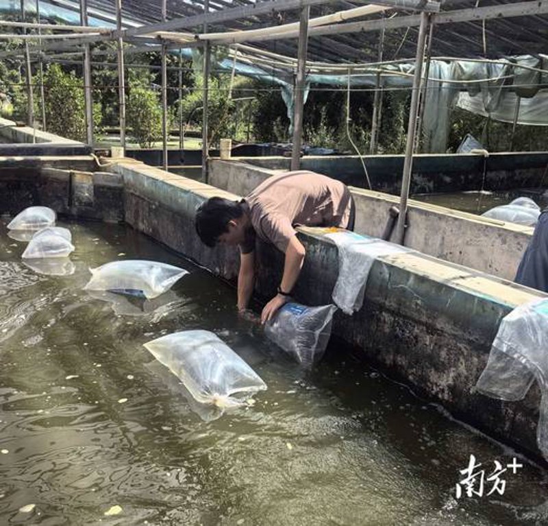 避免陷入水产养殖的五大误区